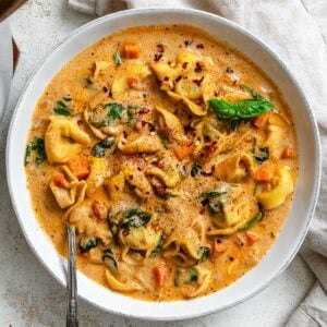 completed Vegan Tortellini Soup in a bowl on a white surface